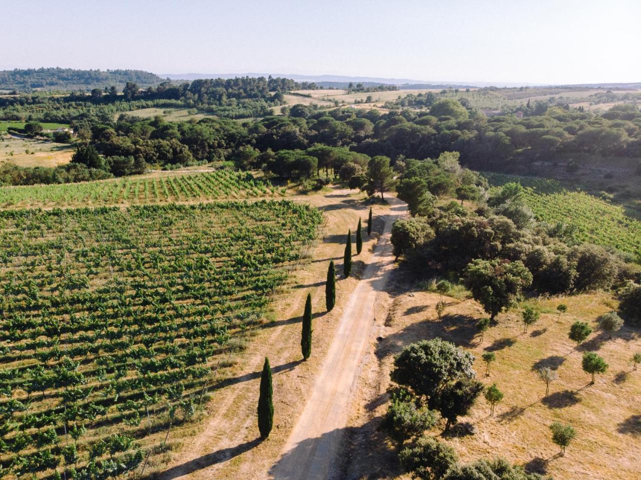 Domaine De Cazaban Lejlighed Villegailhenc Eksteriør billede
